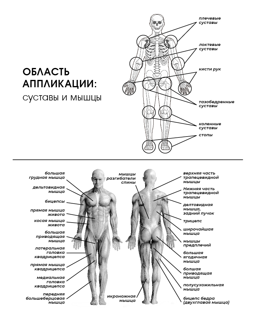 Гуминовый исток Маска-рекорд для мышц и суставов Active life 300 мл